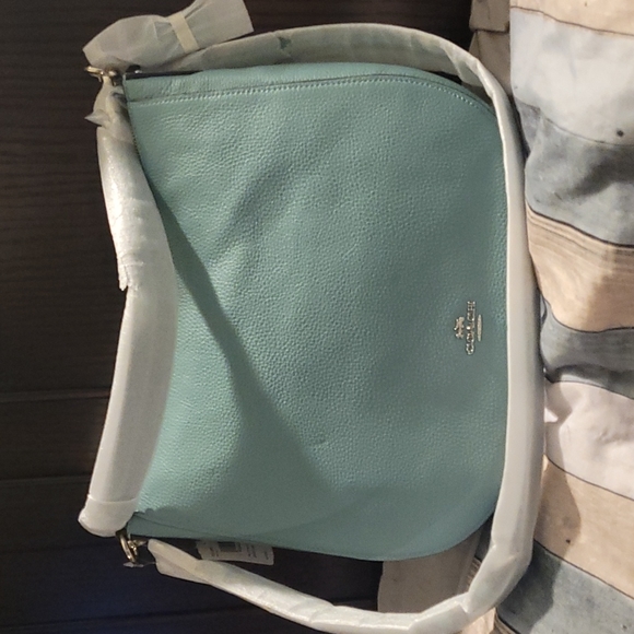 Coach Handbags - Coach Elle Hobo F31399 Silver/Cloud